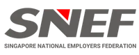 SNEF customer logo